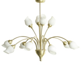 Rimini Ceiling Lights Diyas Multi Arm Fittings